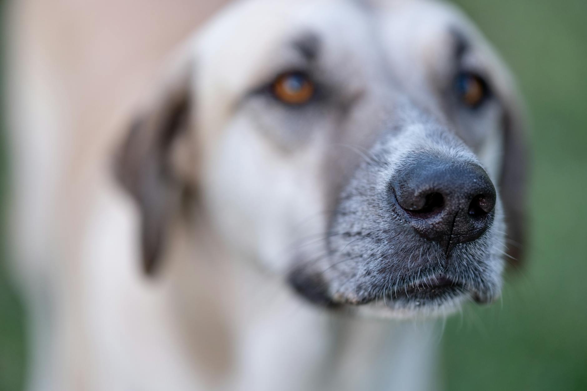 Photo by Doğan Alpaslan  Demir on Pexels